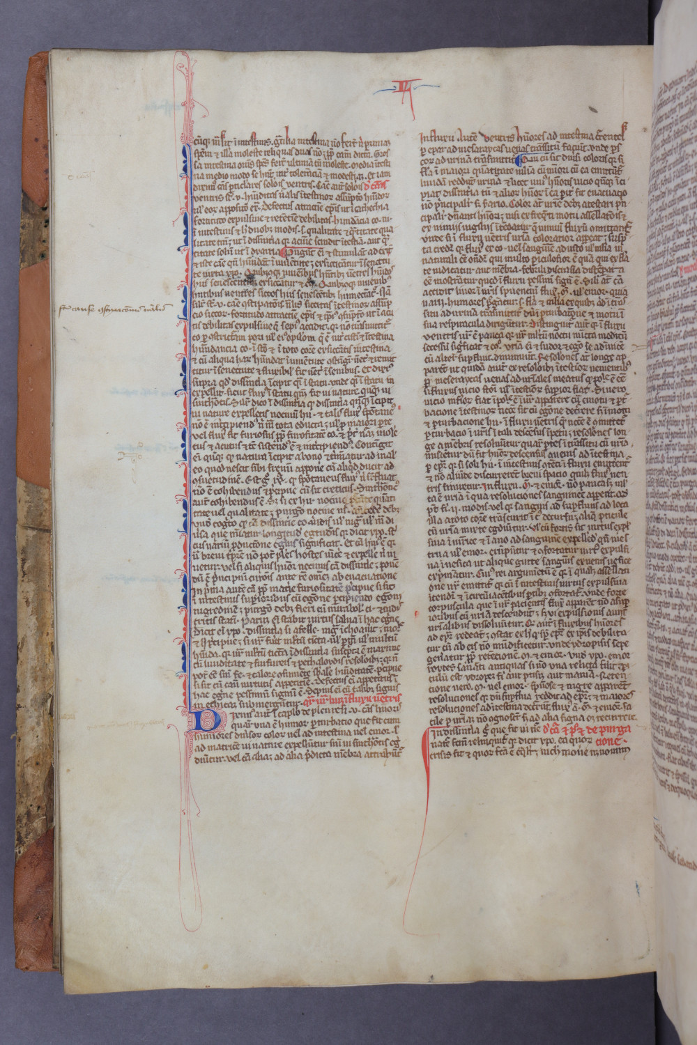 Folio 102 verso